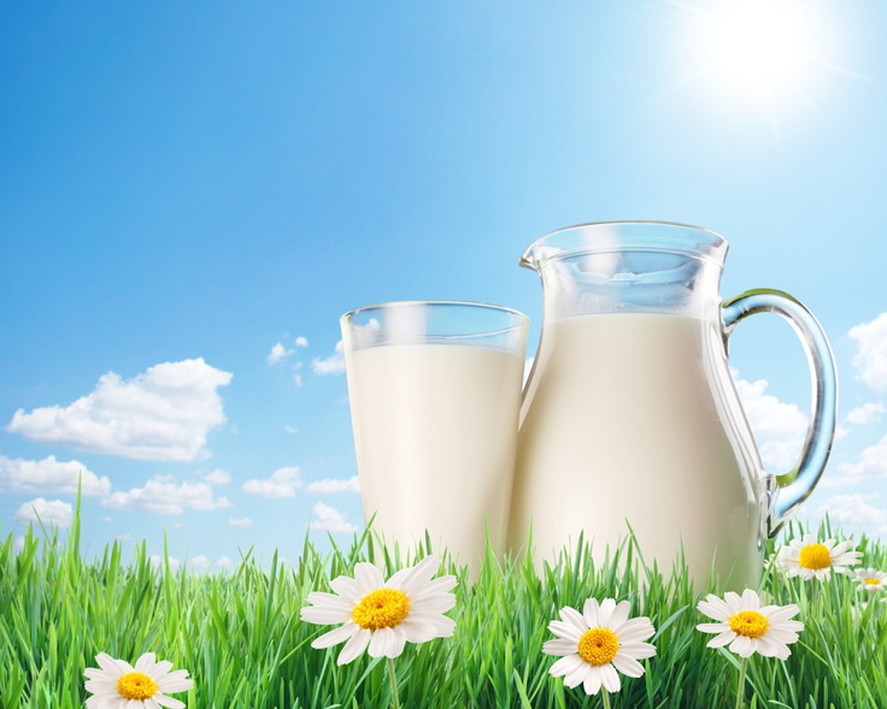 Анализ и аналитика молочного рынка Украины: рост импорта из ЕС и наращивание экспорта собственной продукции